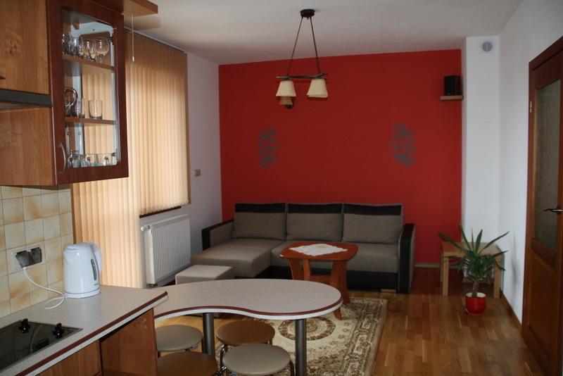 Apartamenty- Mieszkania Wakacyjne Czarna Góra 部屋 写真